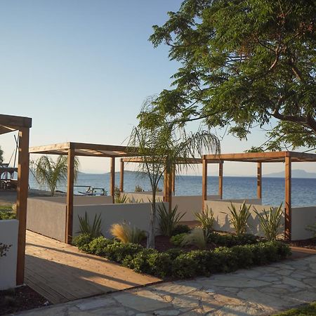 Datca Dirik Surf Beach Hotel 外观 照片